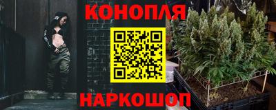 мяу мяу мука Новодвинск