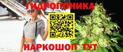 мяу мяу мука Новодвинск
