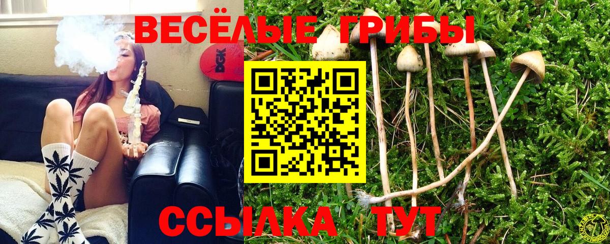 Галлюциногенные грибы ЛСД Сухой Лог