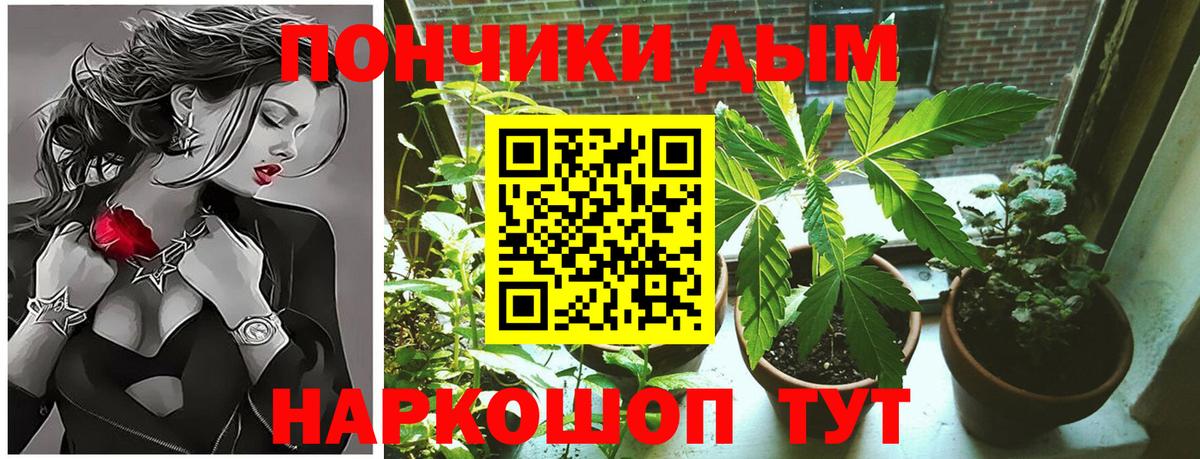 Бошки марихуана гибрид  МАРИХУАНА планчик  Сухой Лог  Вход с VPN  МАРИХУАНА Ganja 